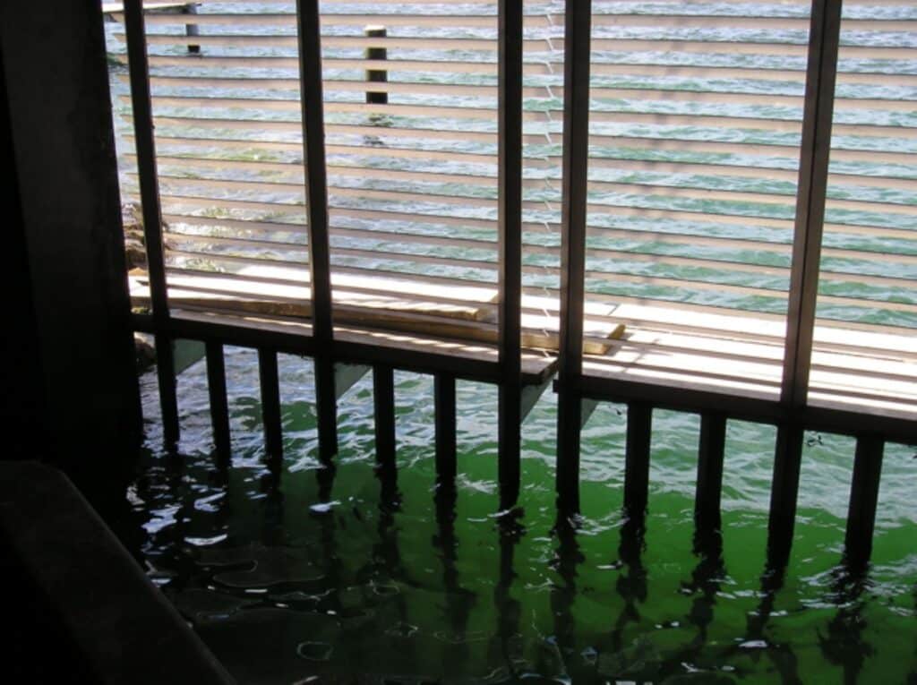 PorteImmergee12 1024x765